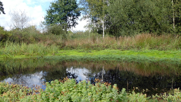 P1000967