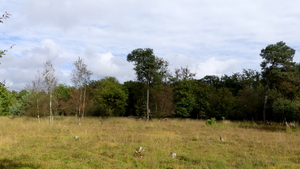 P1000977