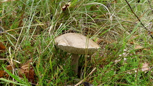 P1000979