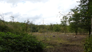 P1000994