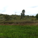 P1000998