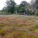 P1010007