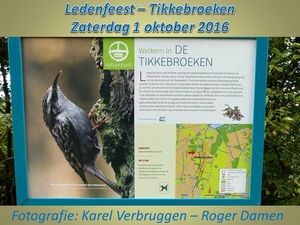 Tikkebroeken KV-RD