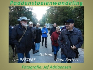 2016-10-08 PADDENSTOELENWANDELING