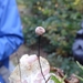 DSC07576
