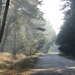 DSC07593