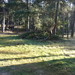 DSC07595