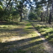 DSC07605