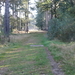 DSC07606