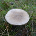 DSC07643