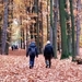 20161105_154648_HDR