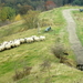 IMG_2339 - kopie