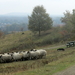 IMG_2342 - kopie