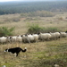 IMG_2343 - kopie