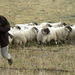 IMG_2346 - kopie
