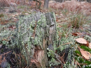 DSCN0081