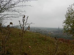 DSCN0093