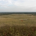 DSCN0102