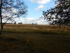 DSCN0117