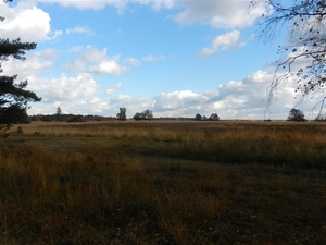 DSCN0118