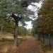 DSCN0119