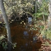 DSCN0122
