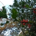 DSCN0123