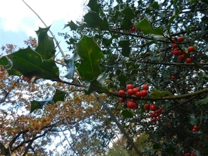 DSCN0123