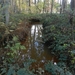 DSCN0125