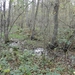 DSCN0128