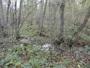 DSCN0128