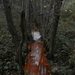 DSCN0129