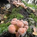 DSCN0130