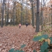 DSCN0132