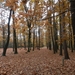 DSCN0133