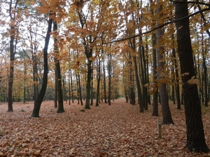 DSCN0133