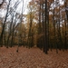DSCN0134