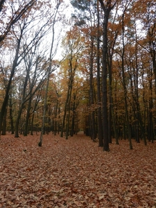 DSCN0134