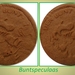 Buntspeculaas 01