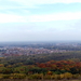 P1010297