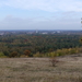 P1010311