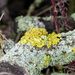P1010331