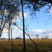 P1010364
