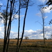 P1010366