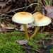 P1010373