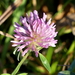 P1010392