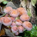 P1010400