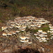 P1010406
