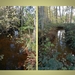 Vallei Zwarte Beek 03