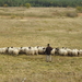 DSCN0287